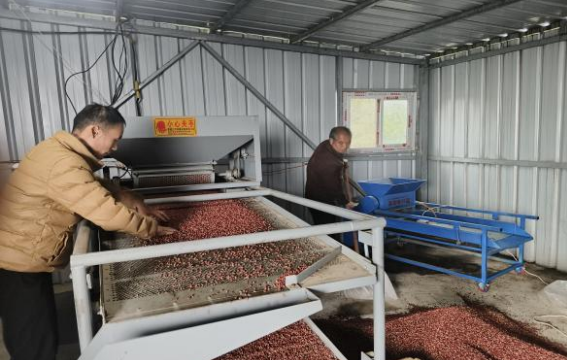 鄉(xiāng)村振興工作動(dòng)態(tài)（第173期）